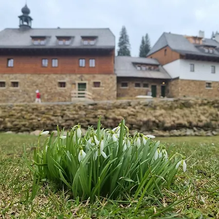 Pupik