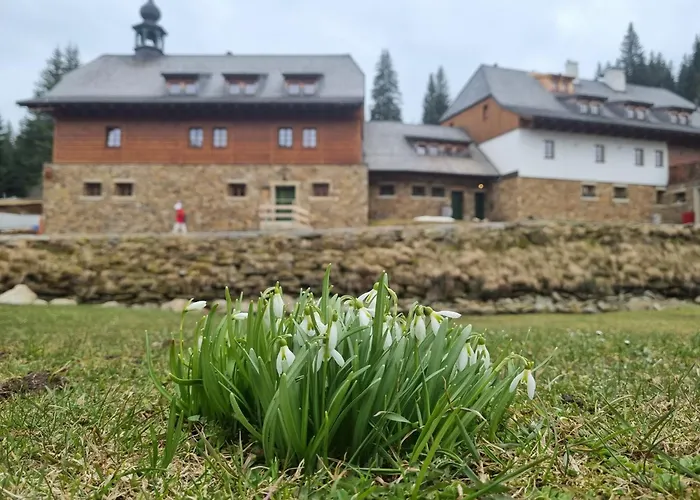 Pupik